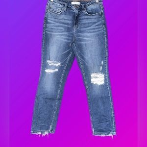 Flying Monkey Skinny Jeans